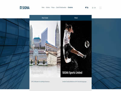 Signa Holding