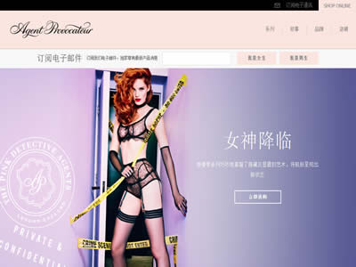 Agent Provocateur