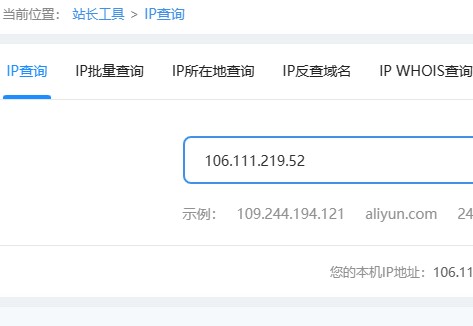 IP/IPV6服务器地址查询