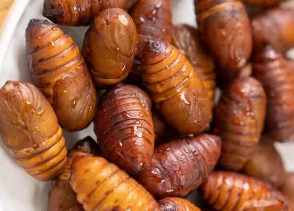 Fried Wood Worm Cuisine: A Crispy, Nutritious Exot